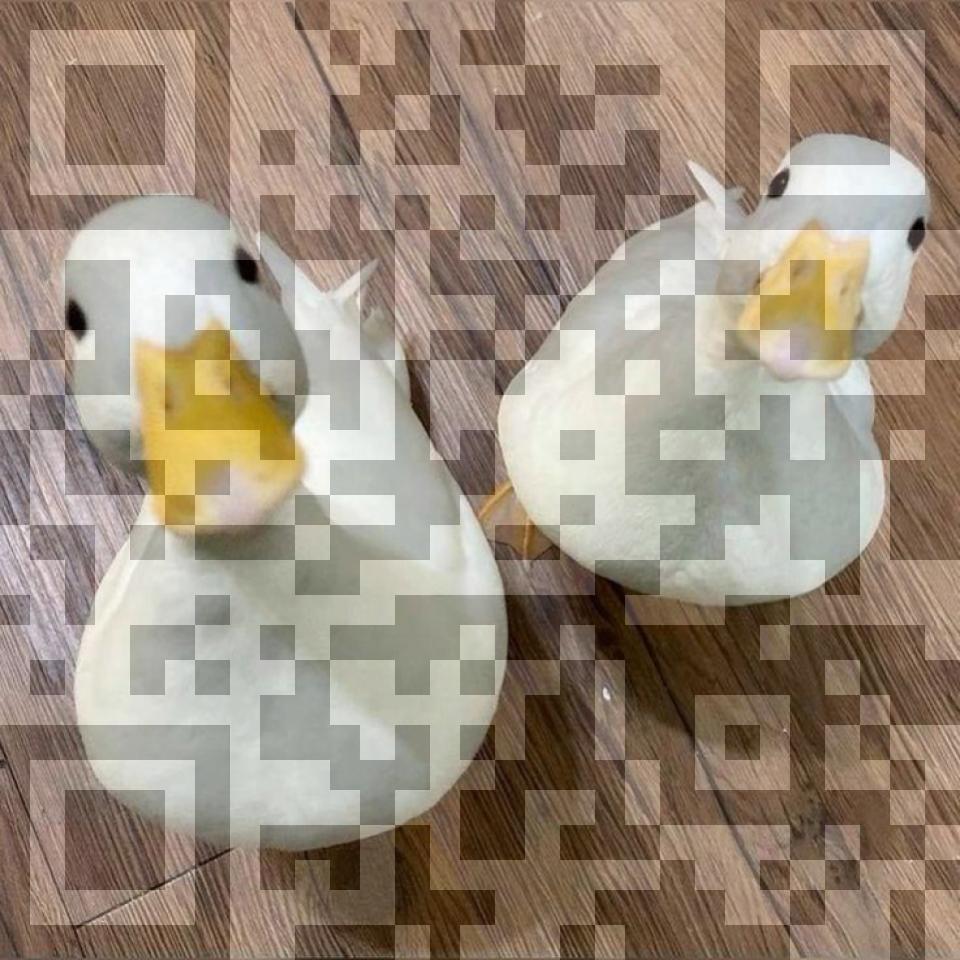 gooseqr